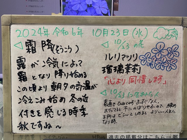 2024.10.23霜降　株式会社トライアングル