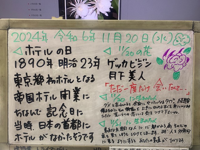 2024.11.20ホテルの日　株式会社トライアングル